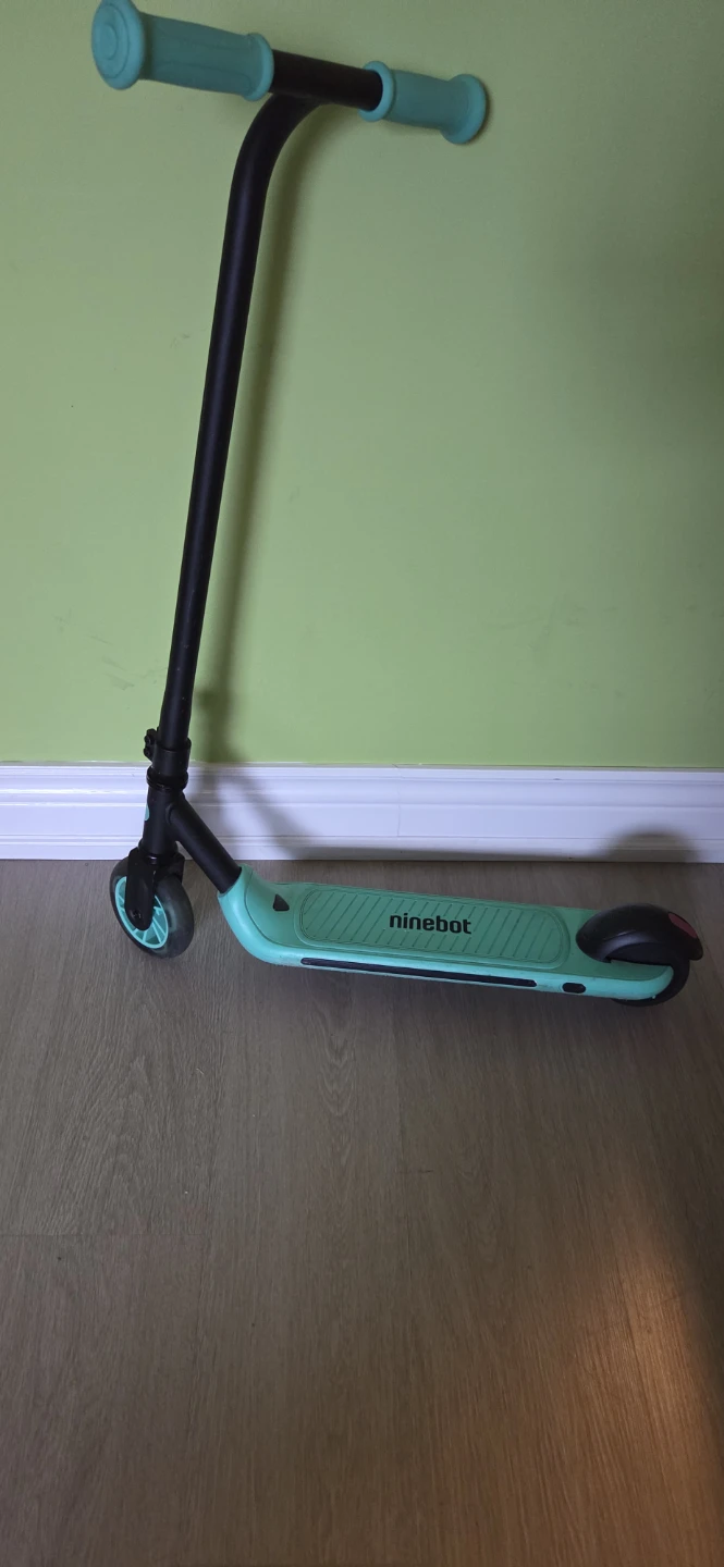 Ninebot Kids Kick Scooter