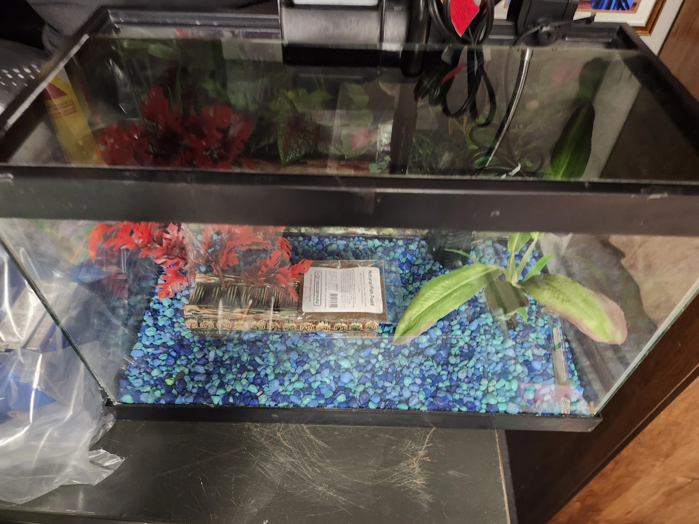 Full Set Up 5 gal Aquarium with 5 Guppies (light, filter, etc) - photo 2