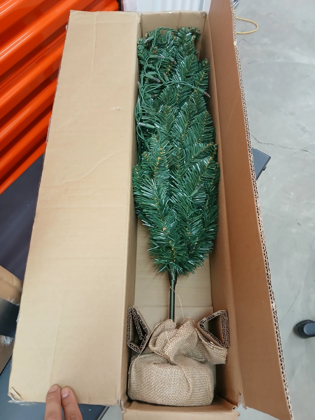WonderShop Potted Un-Lit Christmas Tree - 3 Ft