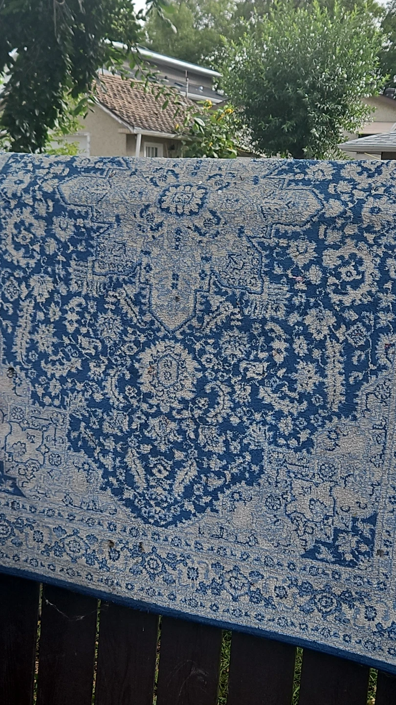 Blue and Cream Oriental Pattern Area Rug