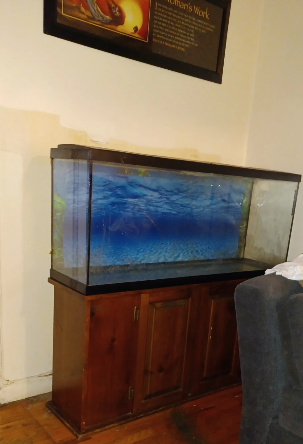 Top Fin 55 Gallon Aquarium