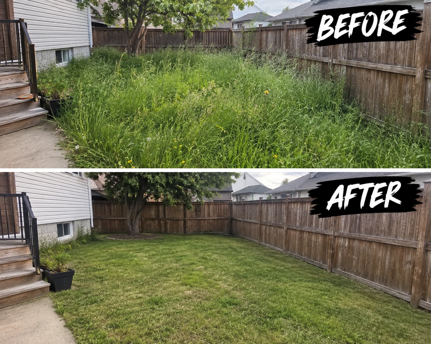 Professional Lawn Care and Landscaping Services - photo 2