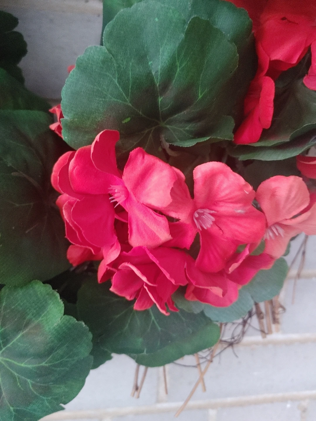 Red Geranium Wreath - photo 3