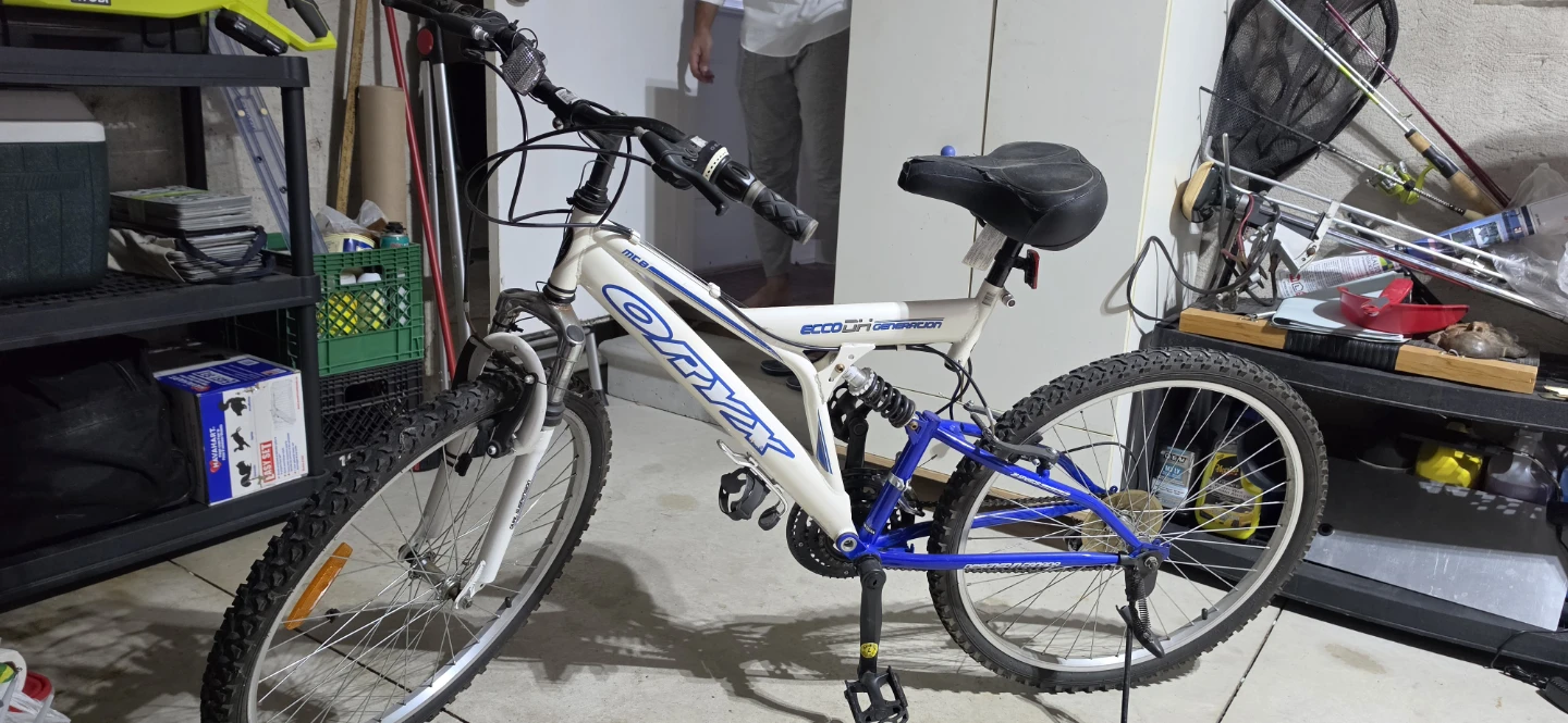 Oryx Ecco DH Generation Mountain Bike