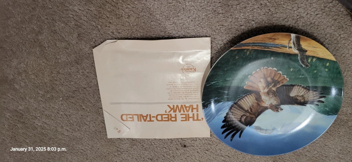 Edwin M. Knowles The Red-Tailed Hawk Collector Plate - photo 2