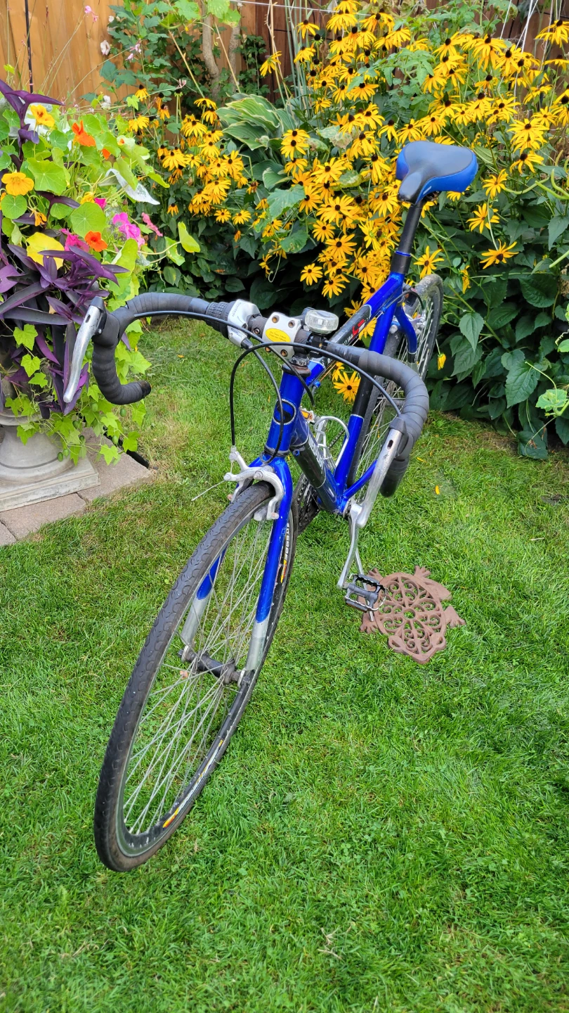 Blue 700 "Medalist" Road Racing Bike-$290