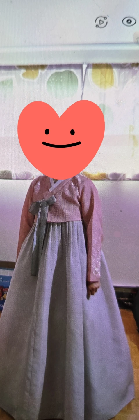 Hanbok Traditional  Korean Dress