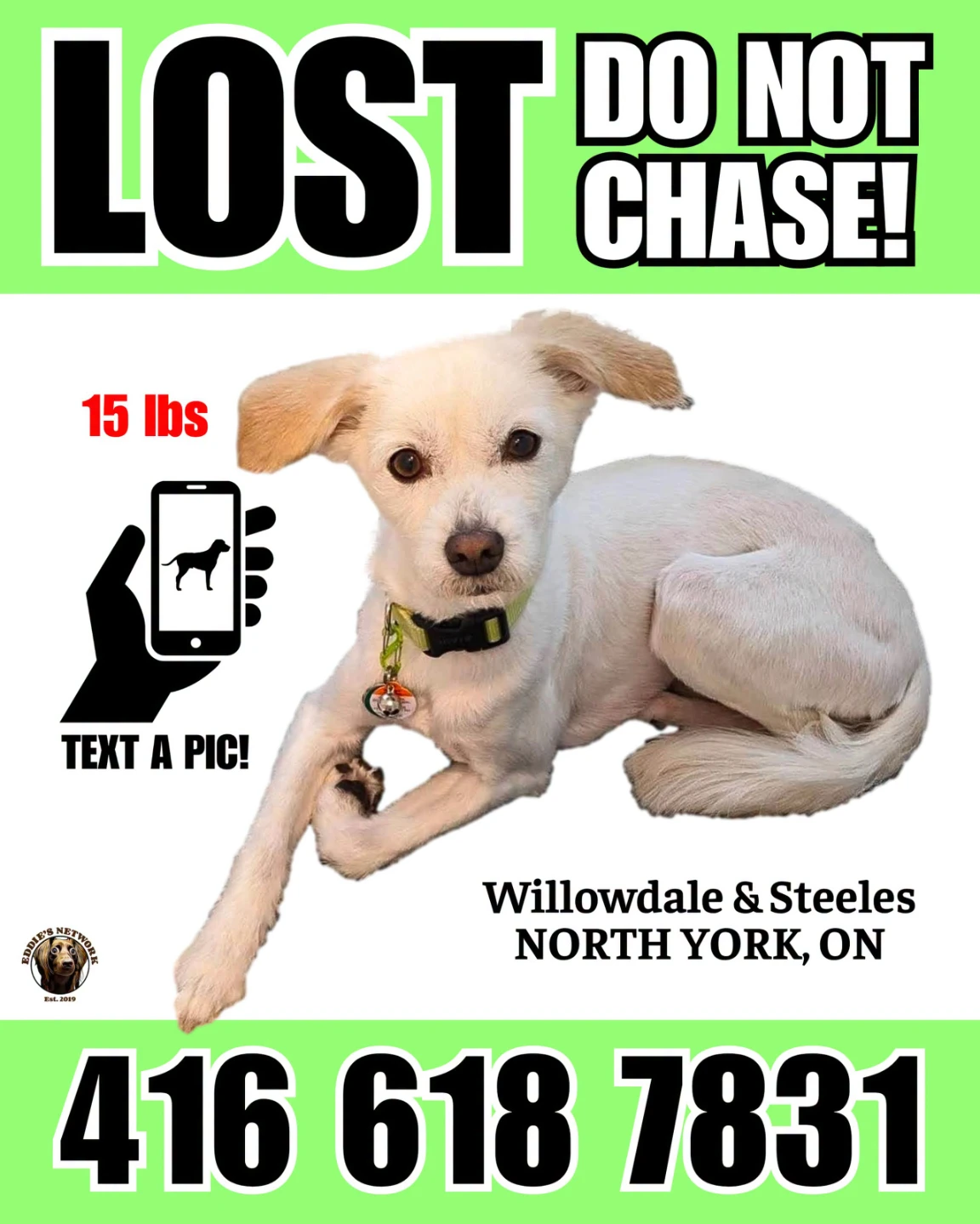 LOST DOG!