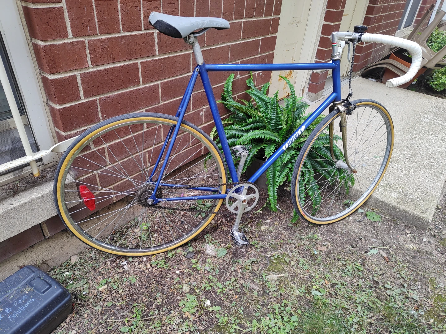 Fast and light weight single speed road bike