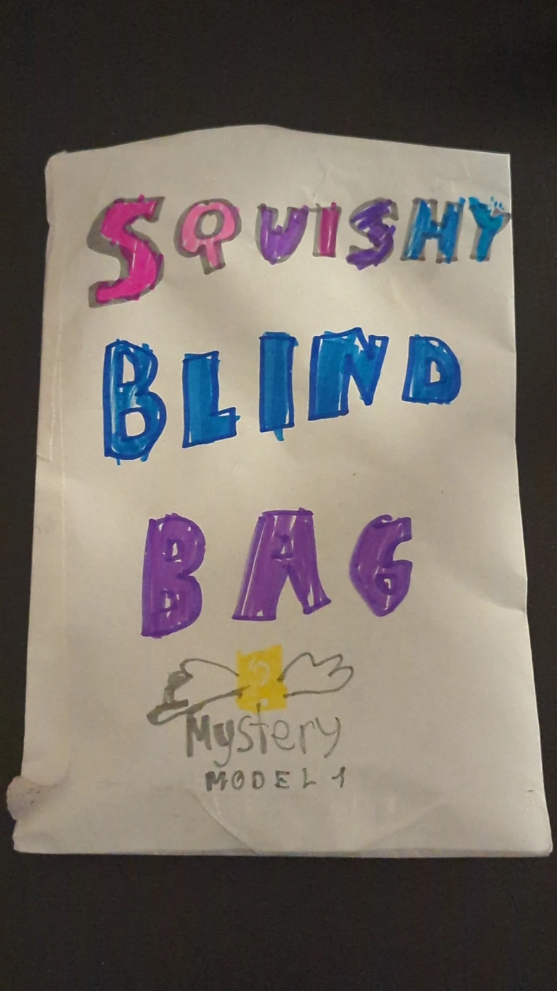 Handmade Squishy Blind Bag Mystery Model 1