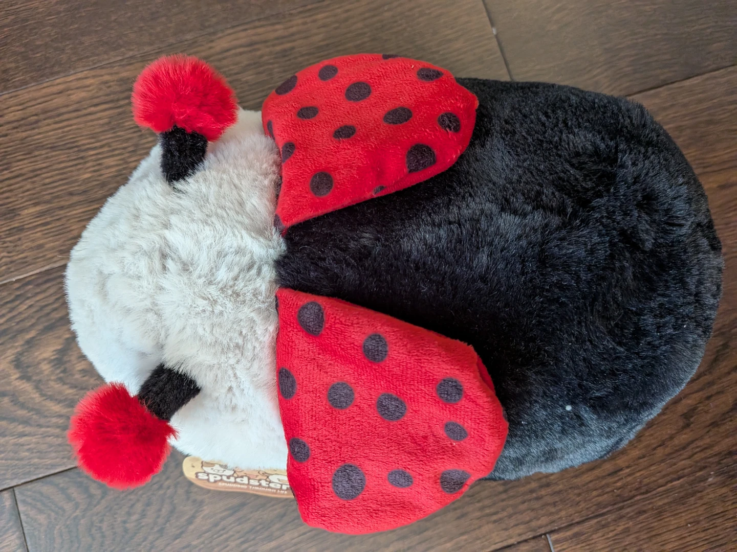 Ladybug Spudster - photo 2