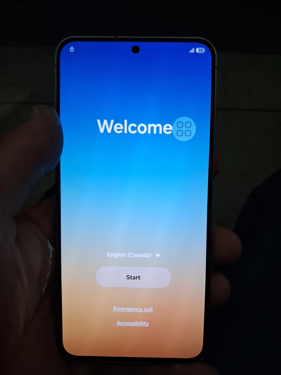 Samsung Galaxy S25 Grey Smartphone