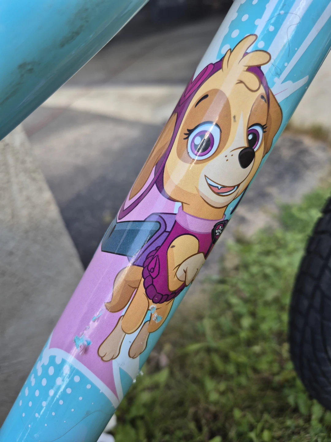 Paw Patrol Skye Kids Bicycle - photo 4