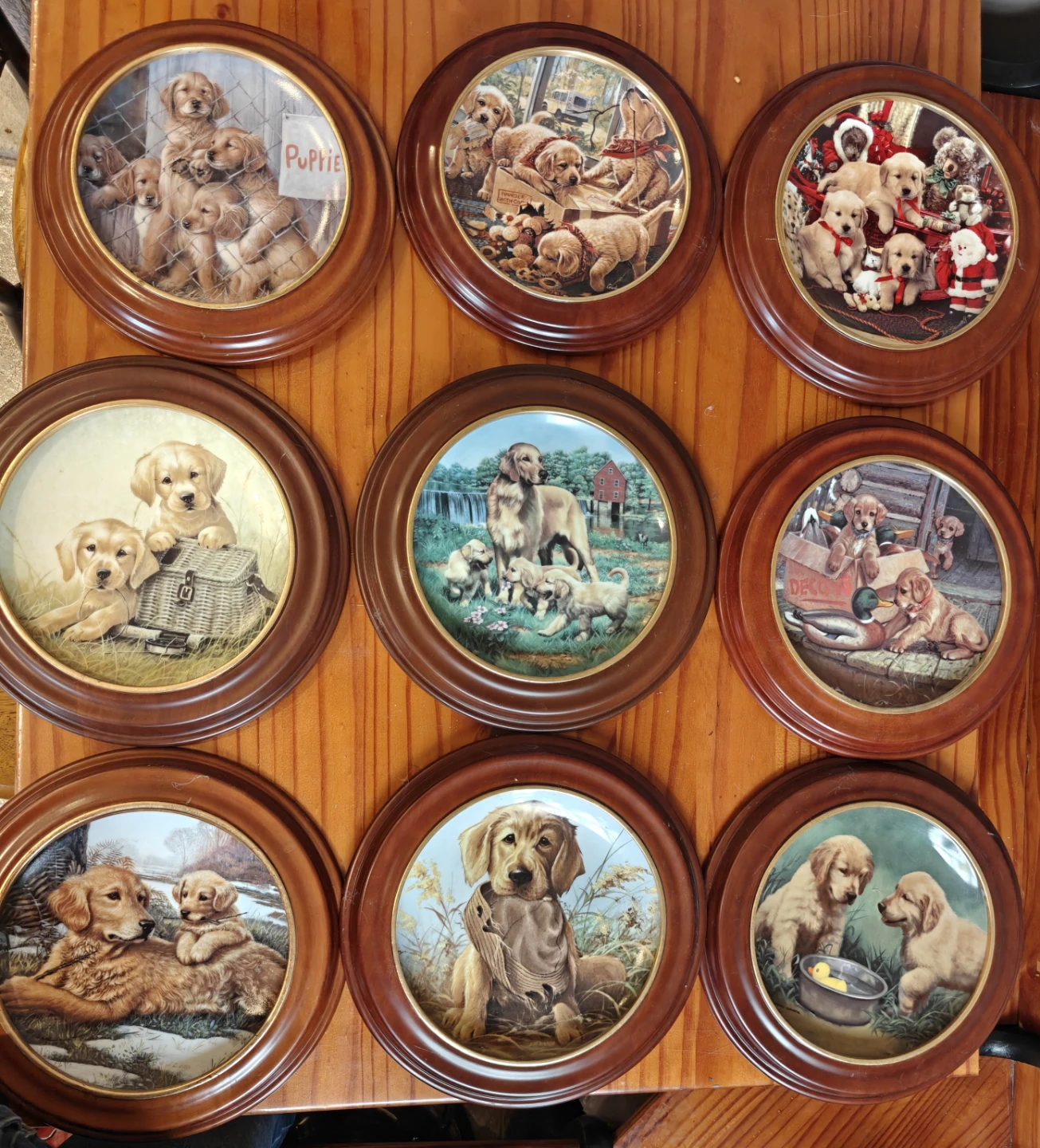 Set of 9 Decorative Golden Retriever Plates - photo 2