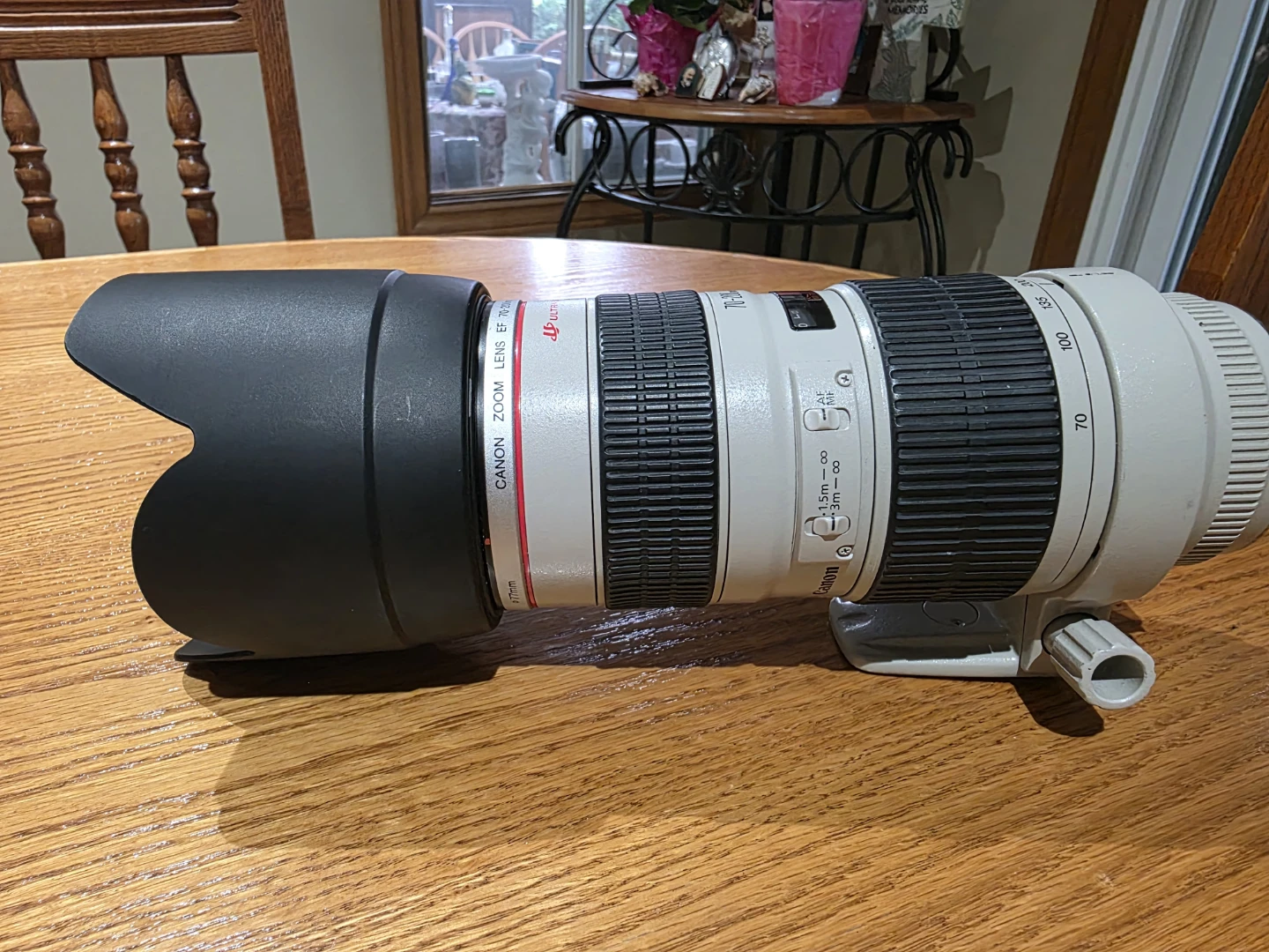 Canon EF 70-200mm f/2.8 L Ultrasonic Lens