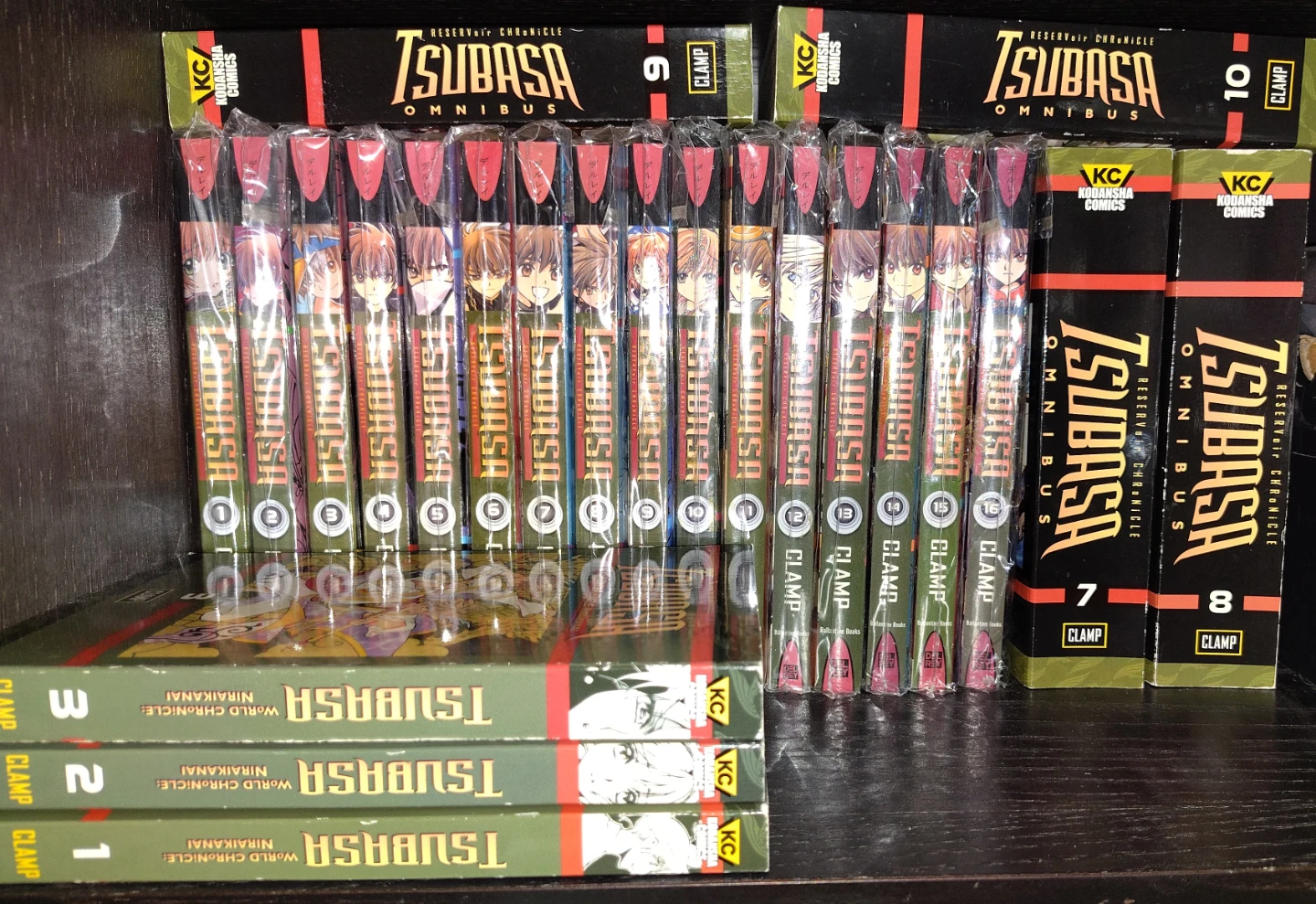 Manga Reservoir Chronicle Tsubasa