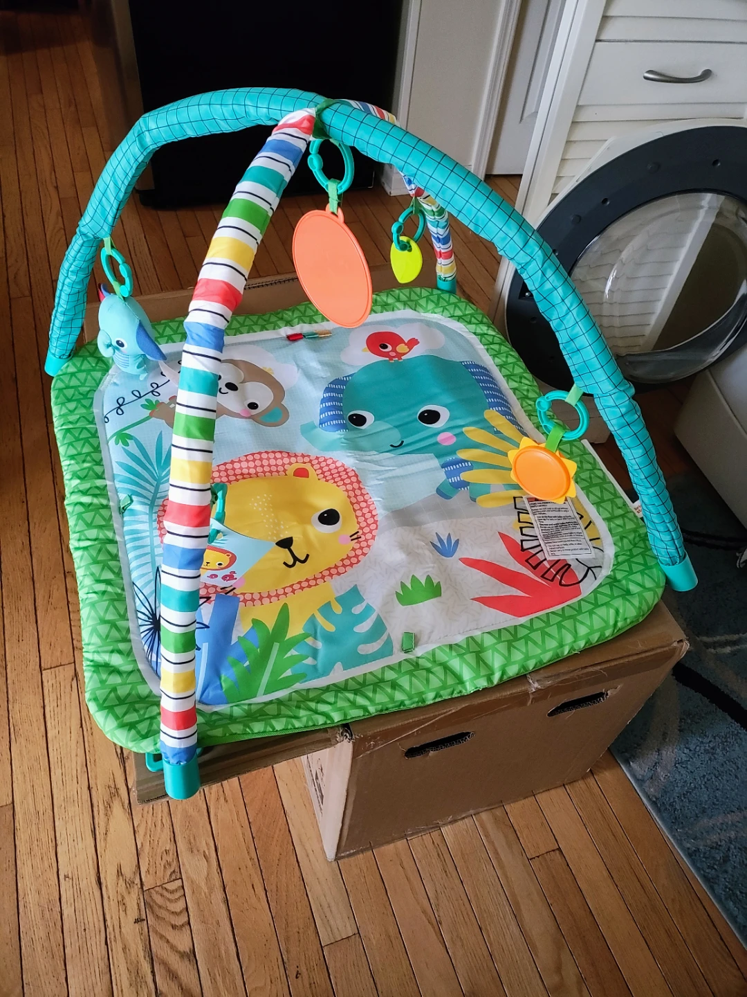 Bright Starts Wild Wiggles FoldAway Activity Gym - photo 5