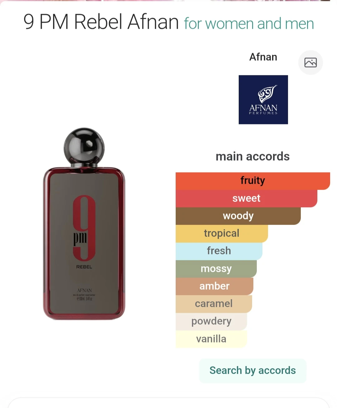 Afnan 9 PM Rebel Eau De Parfum 100ml - photo 2