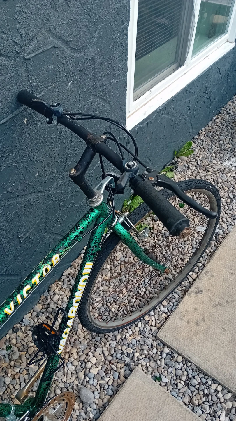 Victor Vagabond bicycle in green - photo 2