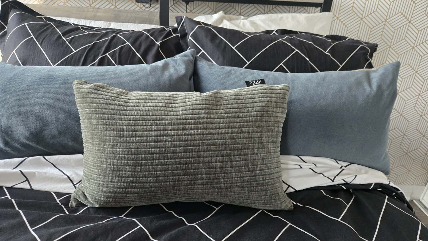 Set of 3 Decorative Throw Pillows
