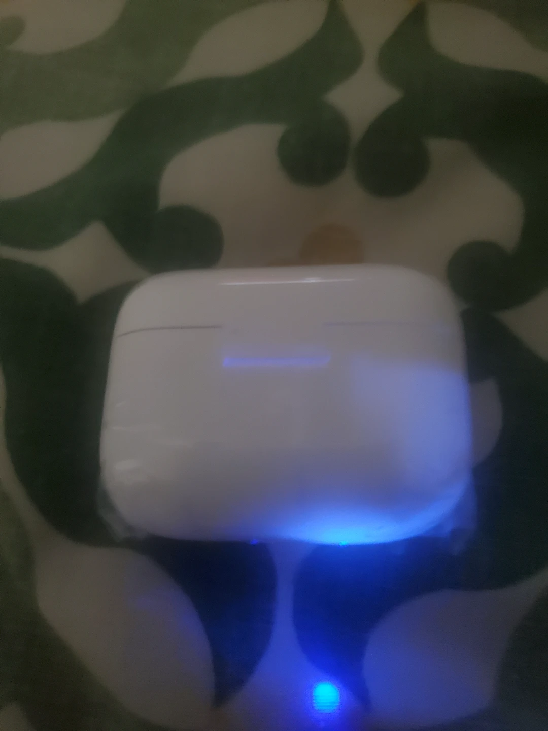 Apple AirPods Pro Charging Case