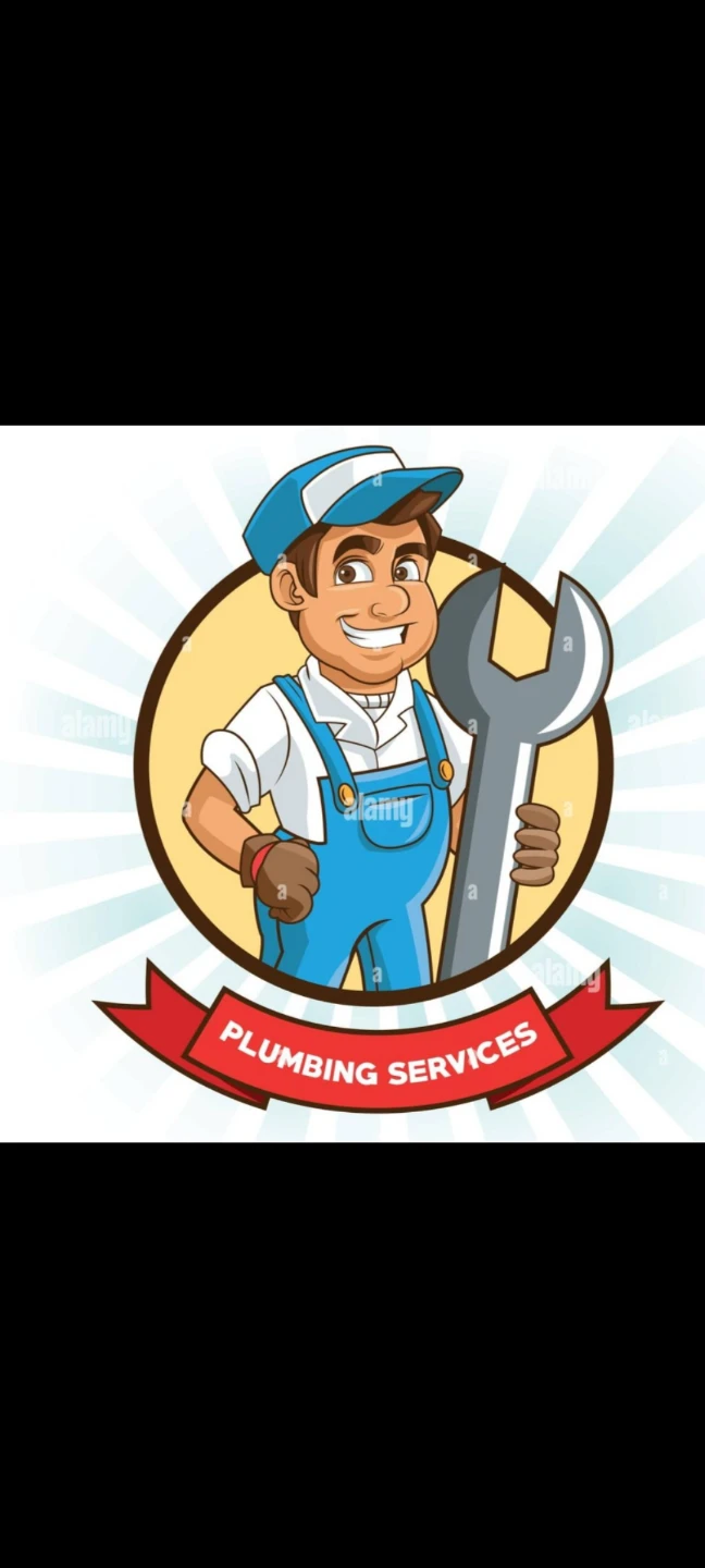 Plumbing Services 437 433 7300