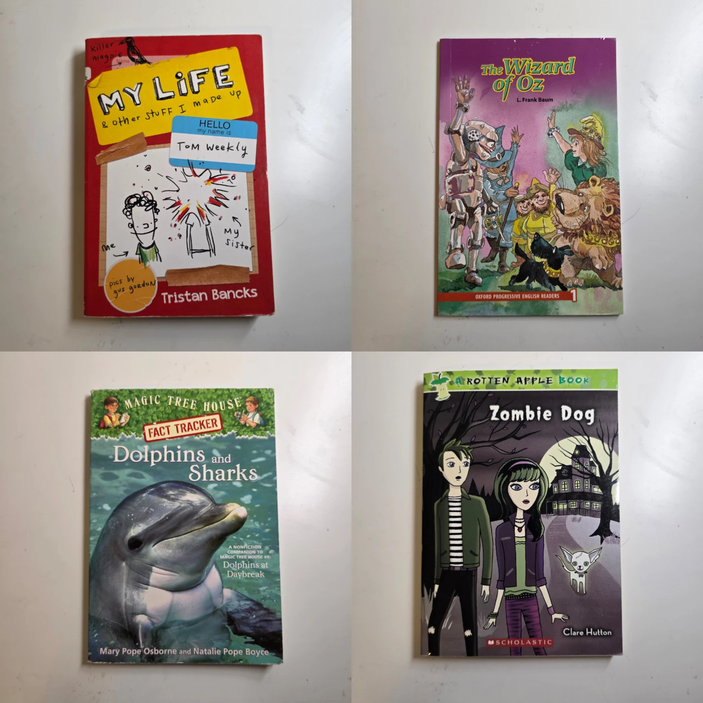 English Books - photo 2