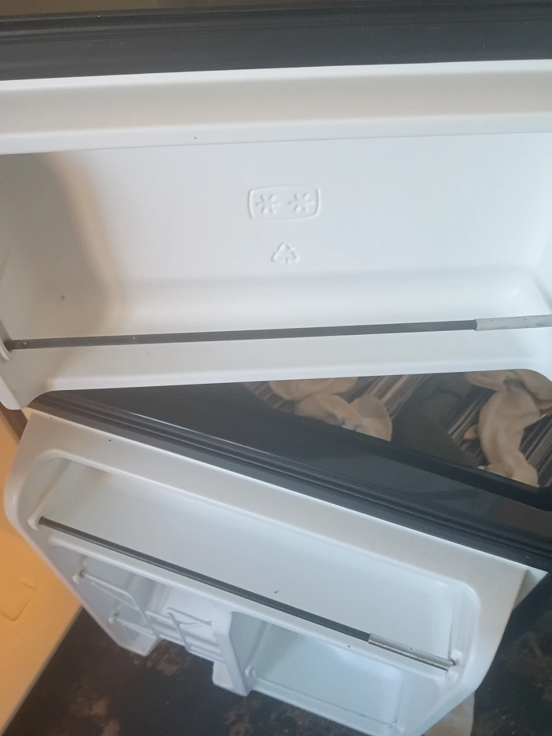 Compact Two-Door Mini Refrigerator - photo 5