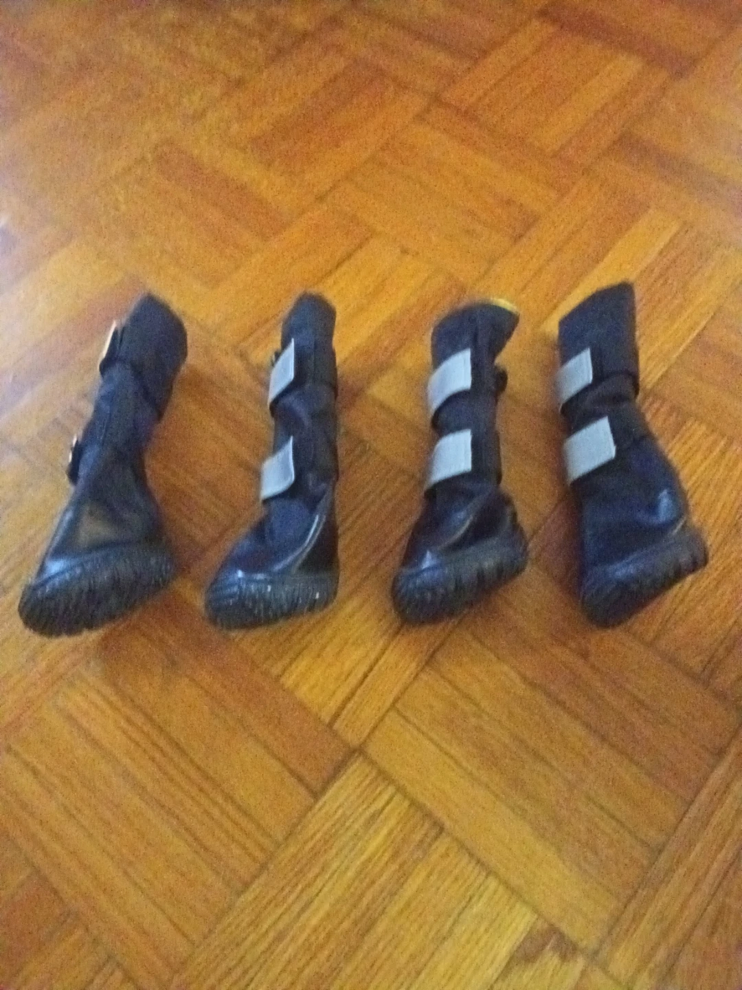 Set of 4 Black Dog Boots. Brand new. Medium - photo 5