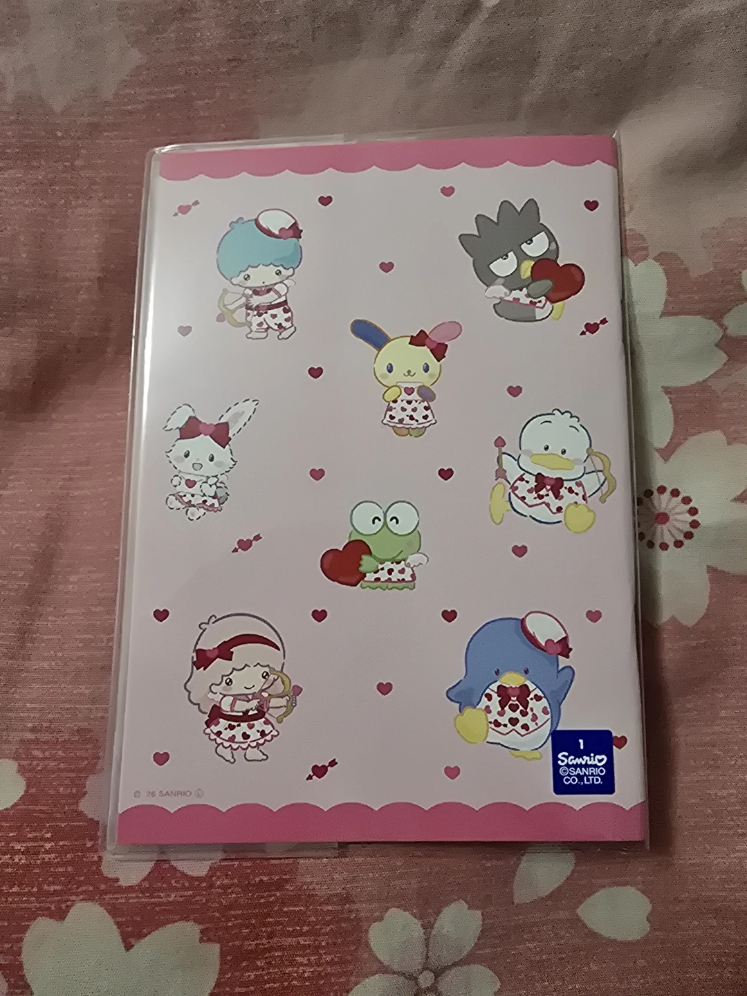 🏈Sanrio Characters Schedule Diary  Book Japan - photo 2