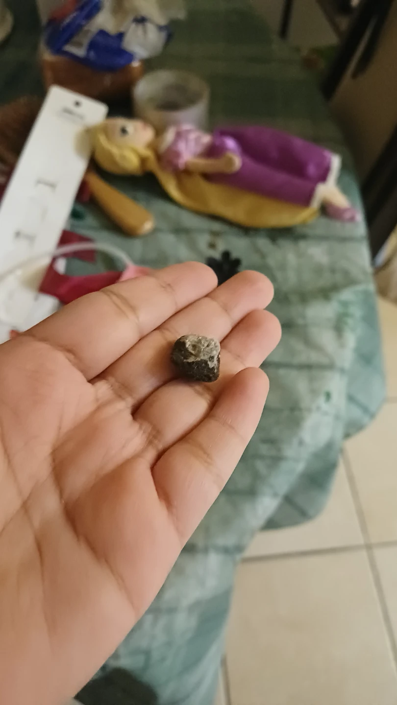 Small dark textured stone - photo 2