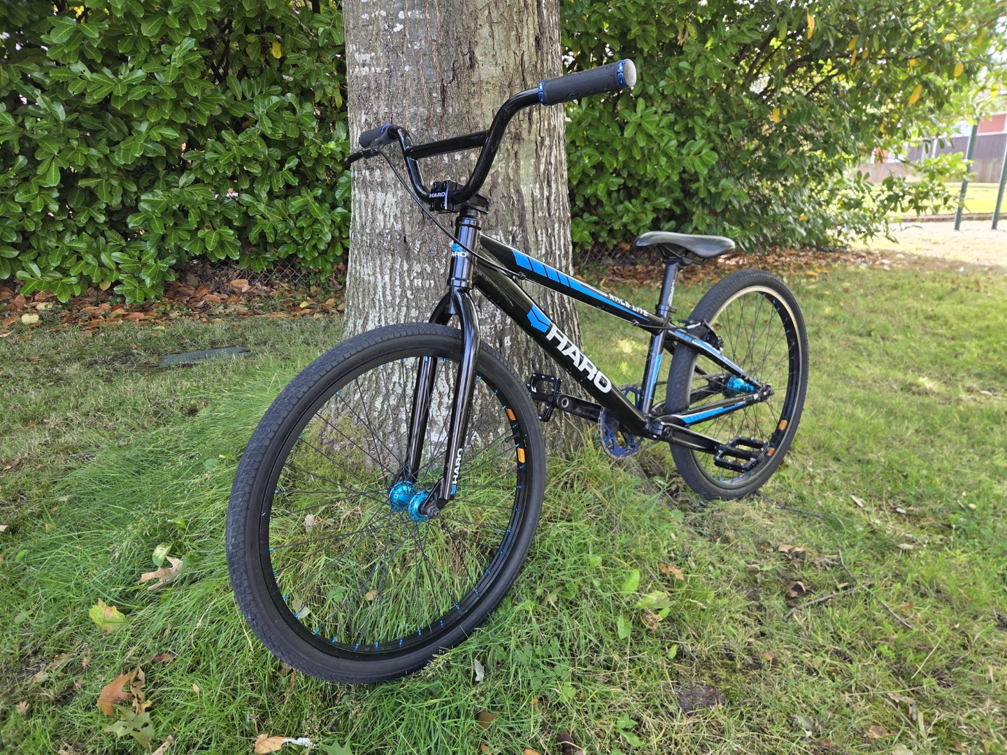 Haro Race Lite Pro 24 Cruiser BMX - photo 2