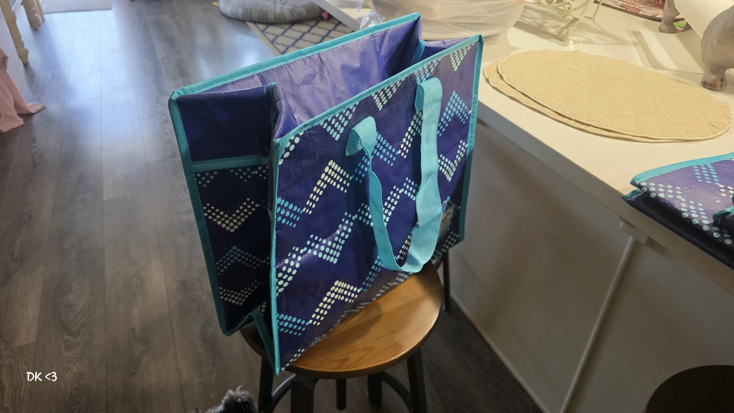 Set of 4 Hingham Chill Insulated Bags - Instacart Approved Bags - photo 2