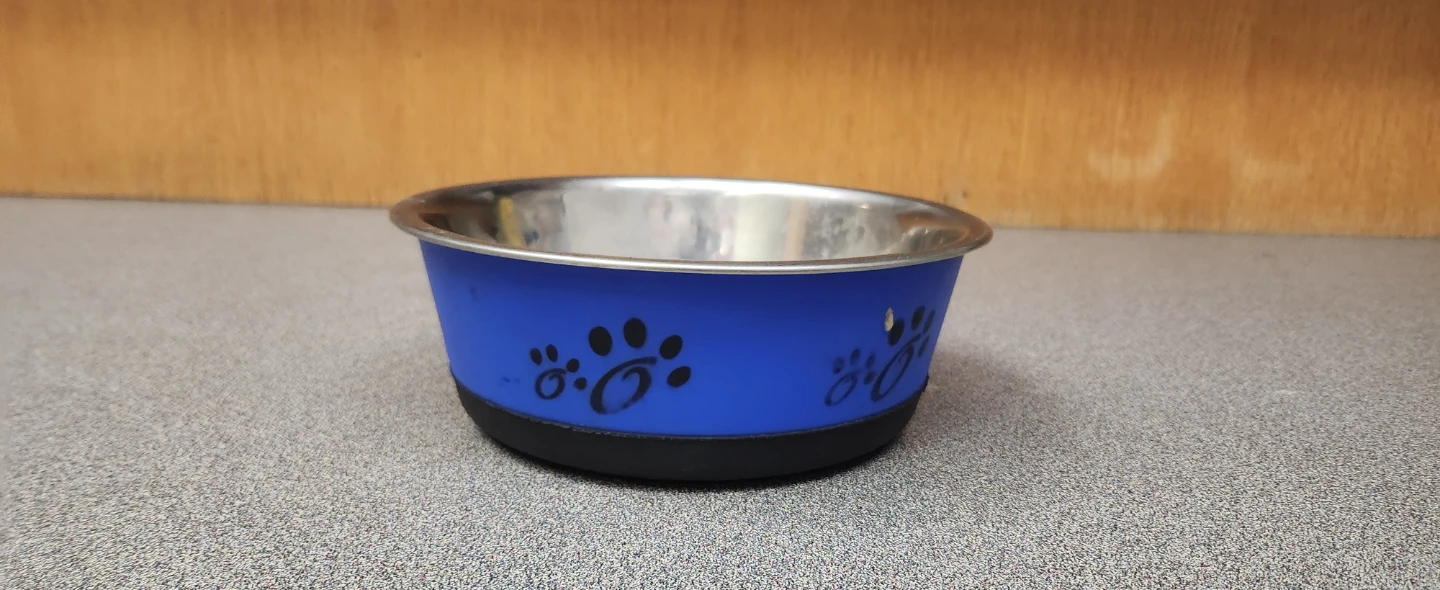 Blue stainless steel pet bowl