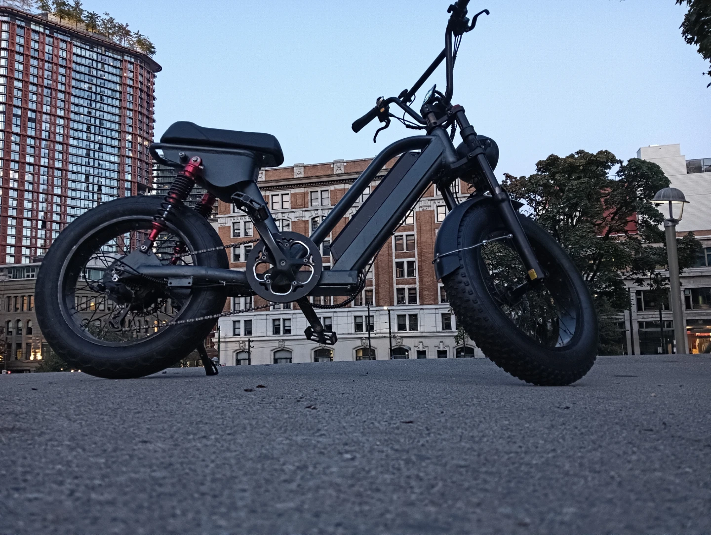 Black Electric Fat Bike Custom Made