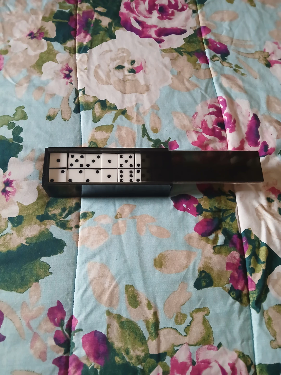 Classic Dominoes Set