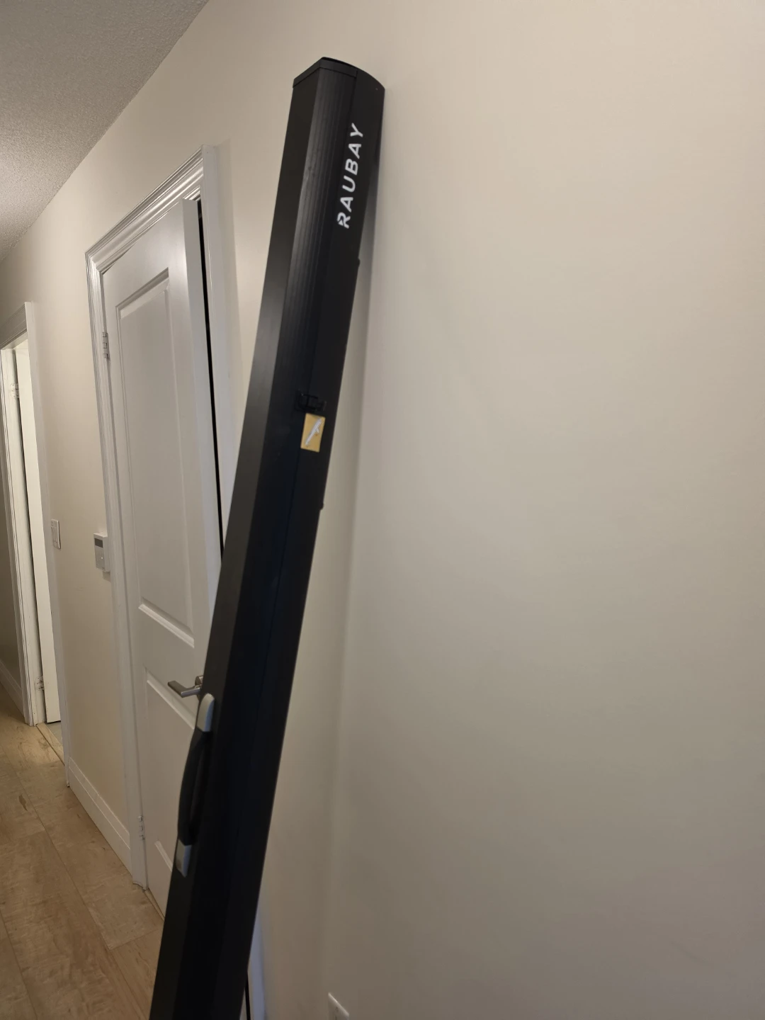 Raubay Portable Projector Screen / Acting Backdrop