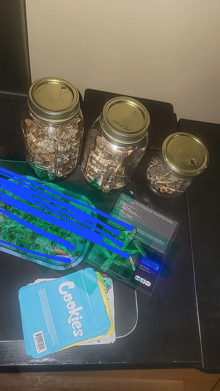 Dried shrooms - photo 2