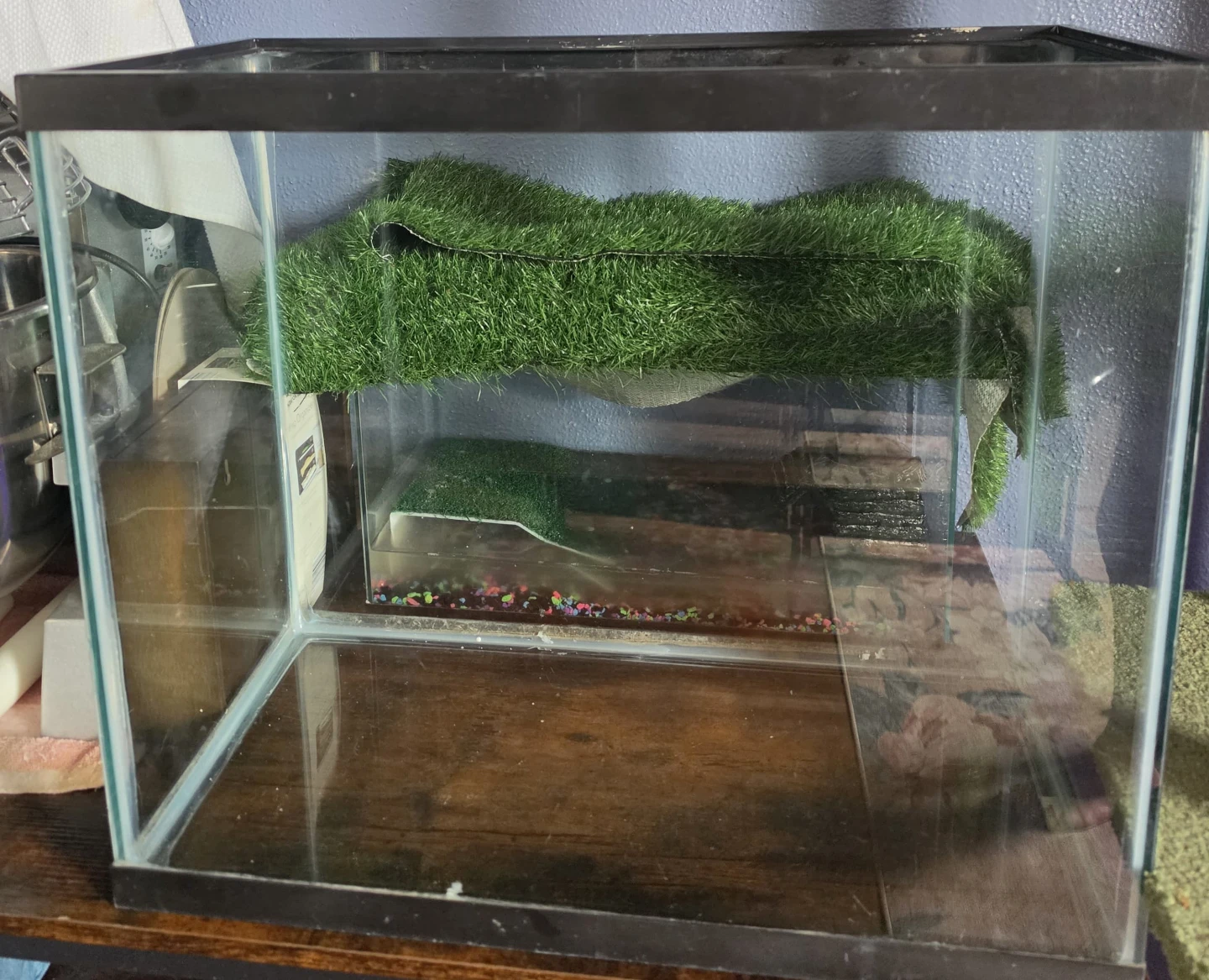 Glass Reptile Tank with Basking Platform