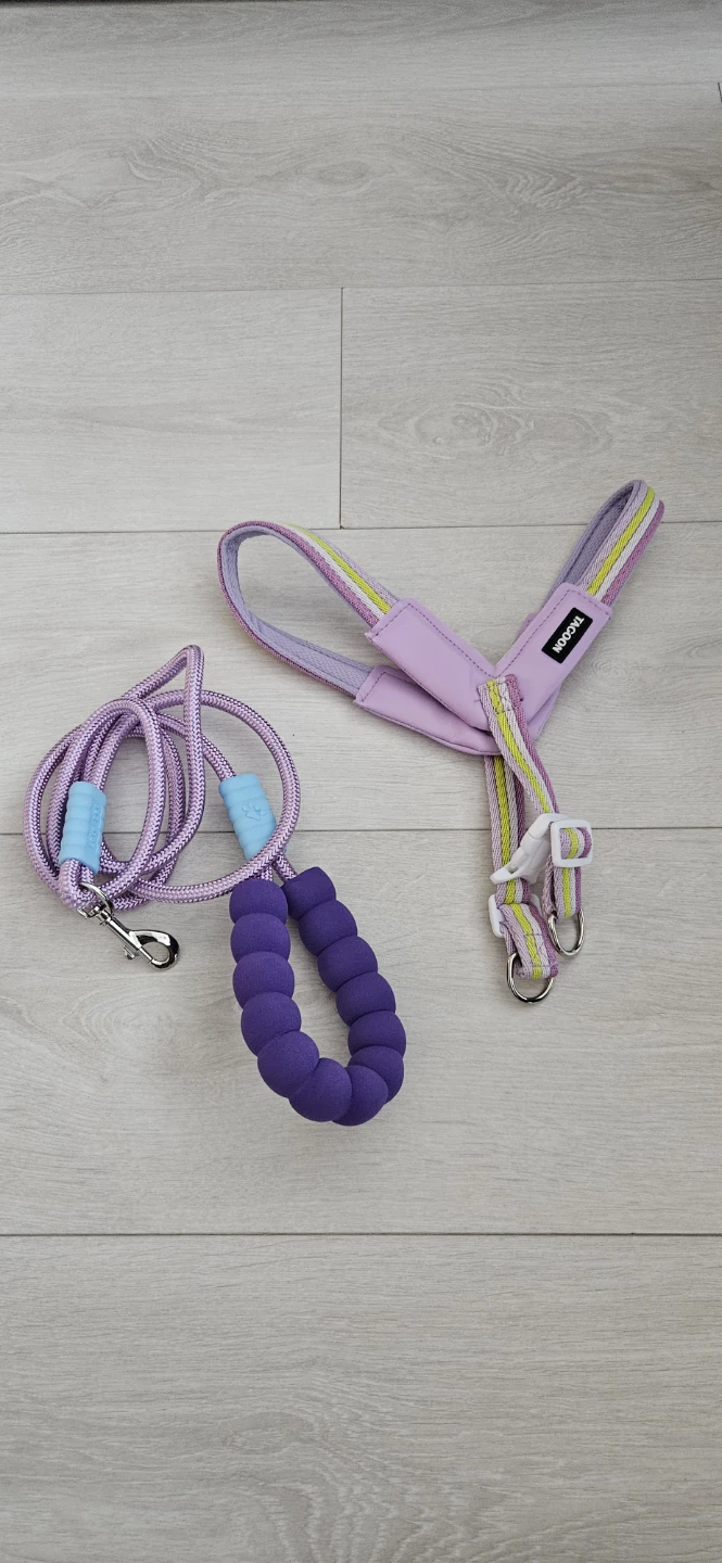 Tacoon Dog Harness and Leash Set