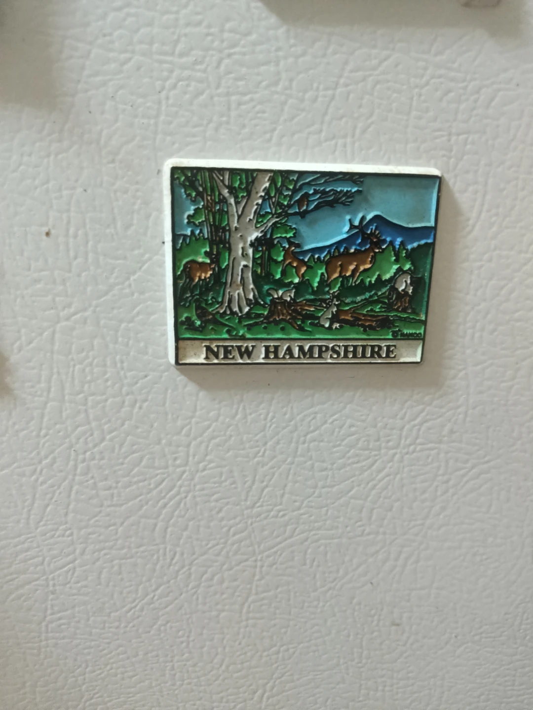 New Hampshire Souvenir Magnet🏈