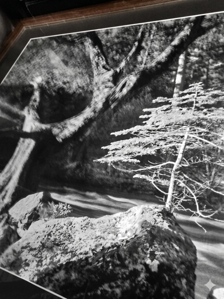 Ansel Adams "Early Morning, Merced River" Large Framed Vintage - photo 3