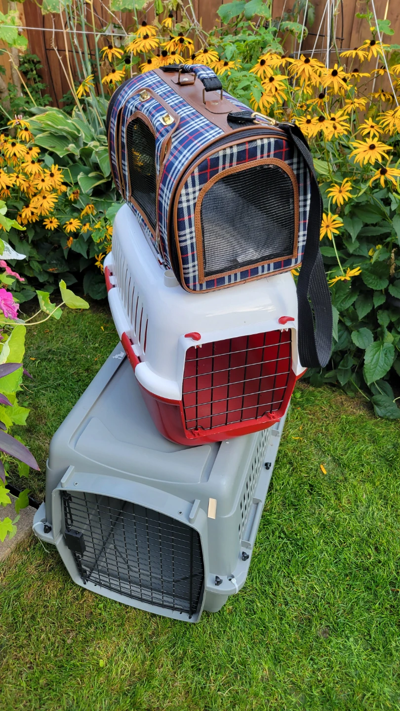 3-Pet Carrier Set - -$20 each
