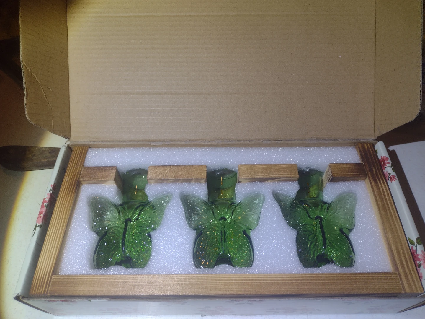 Green Butterfly Propagation Station - photo 2