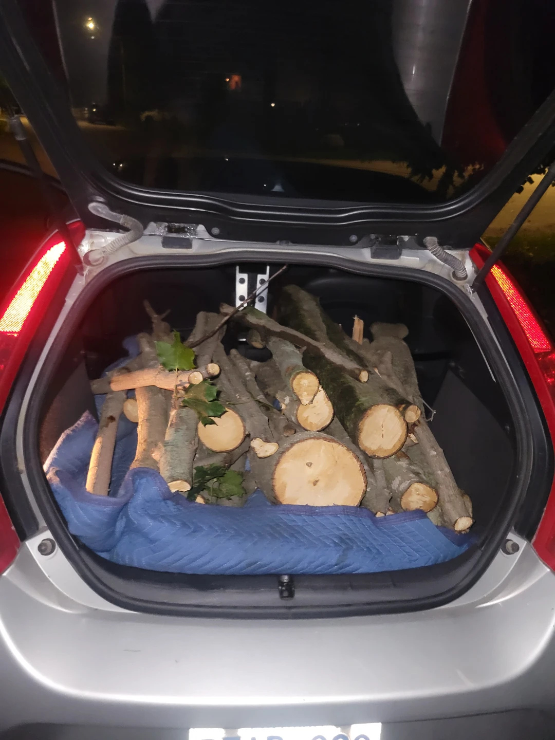 Firewood Logs