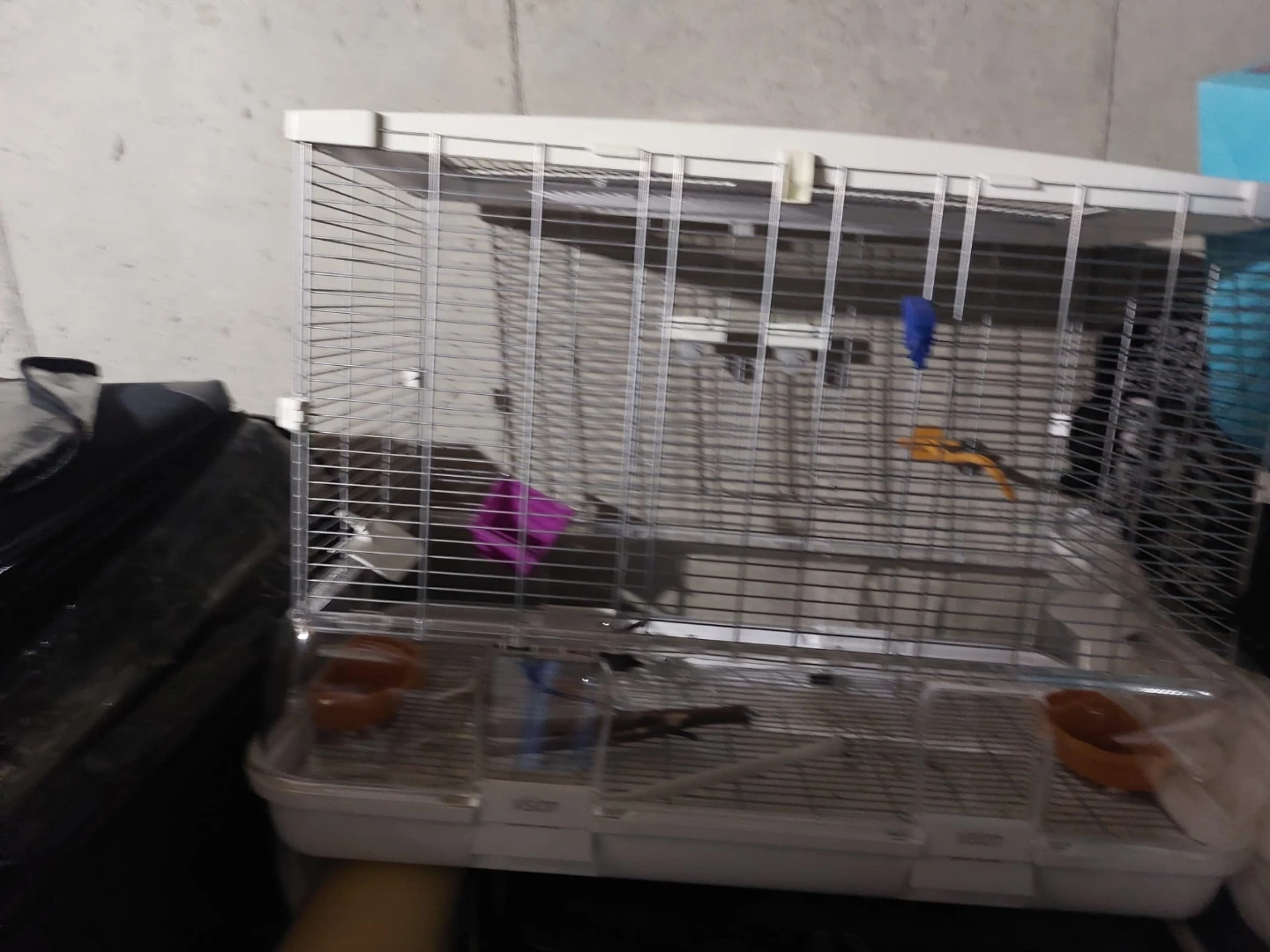 Vision Bird Cage