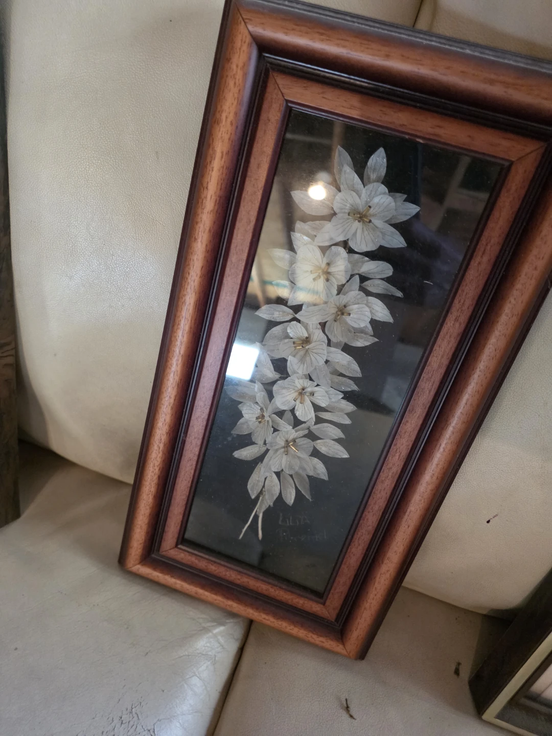Vintage Framed Dried Flower Art