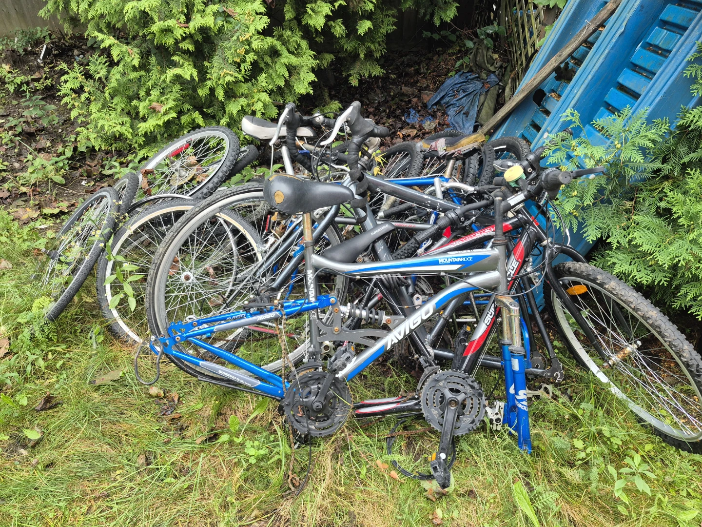 Assorted Bicycle Wheels and Frames