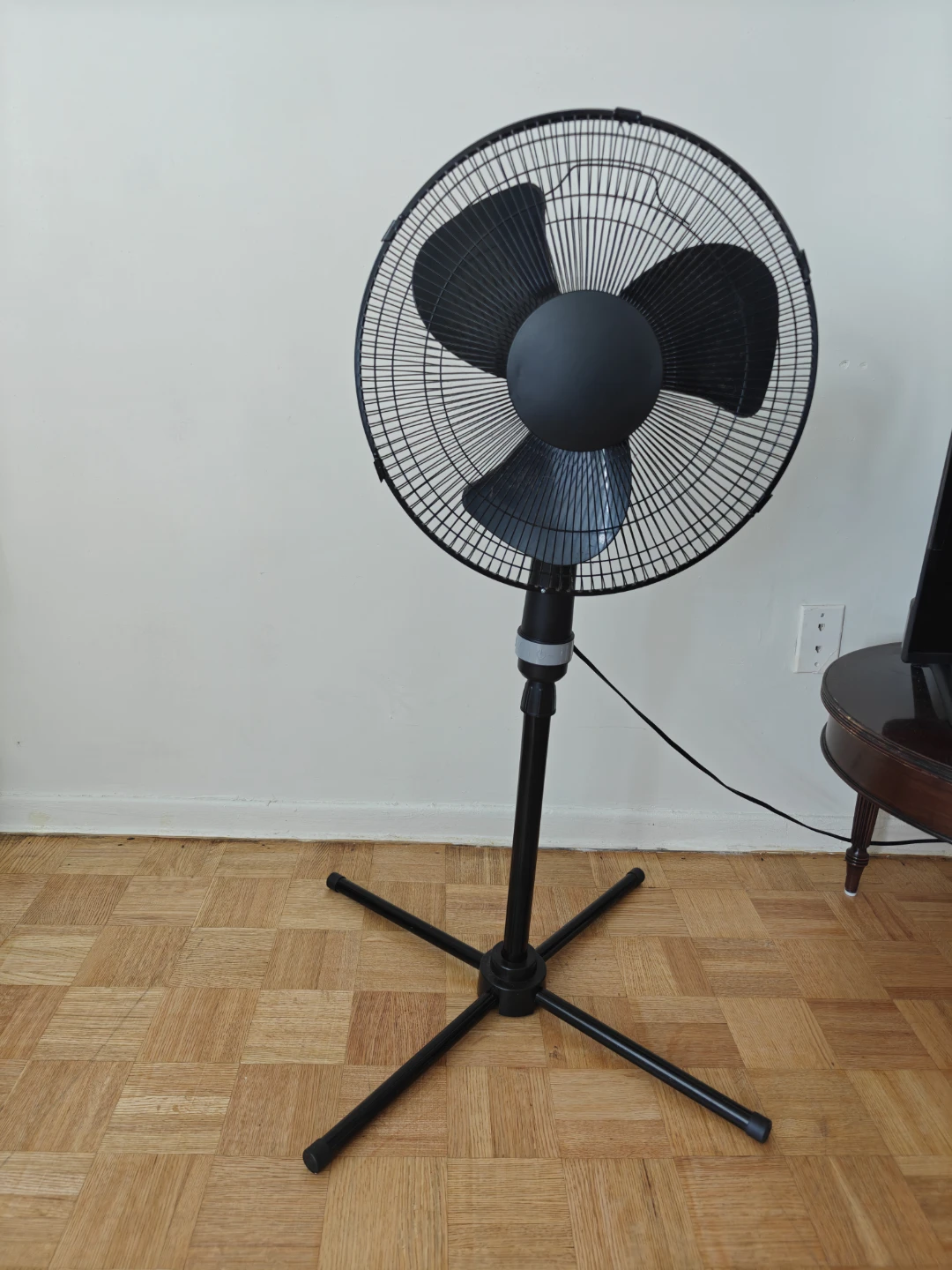 Black Pedestal Fan - photo 2