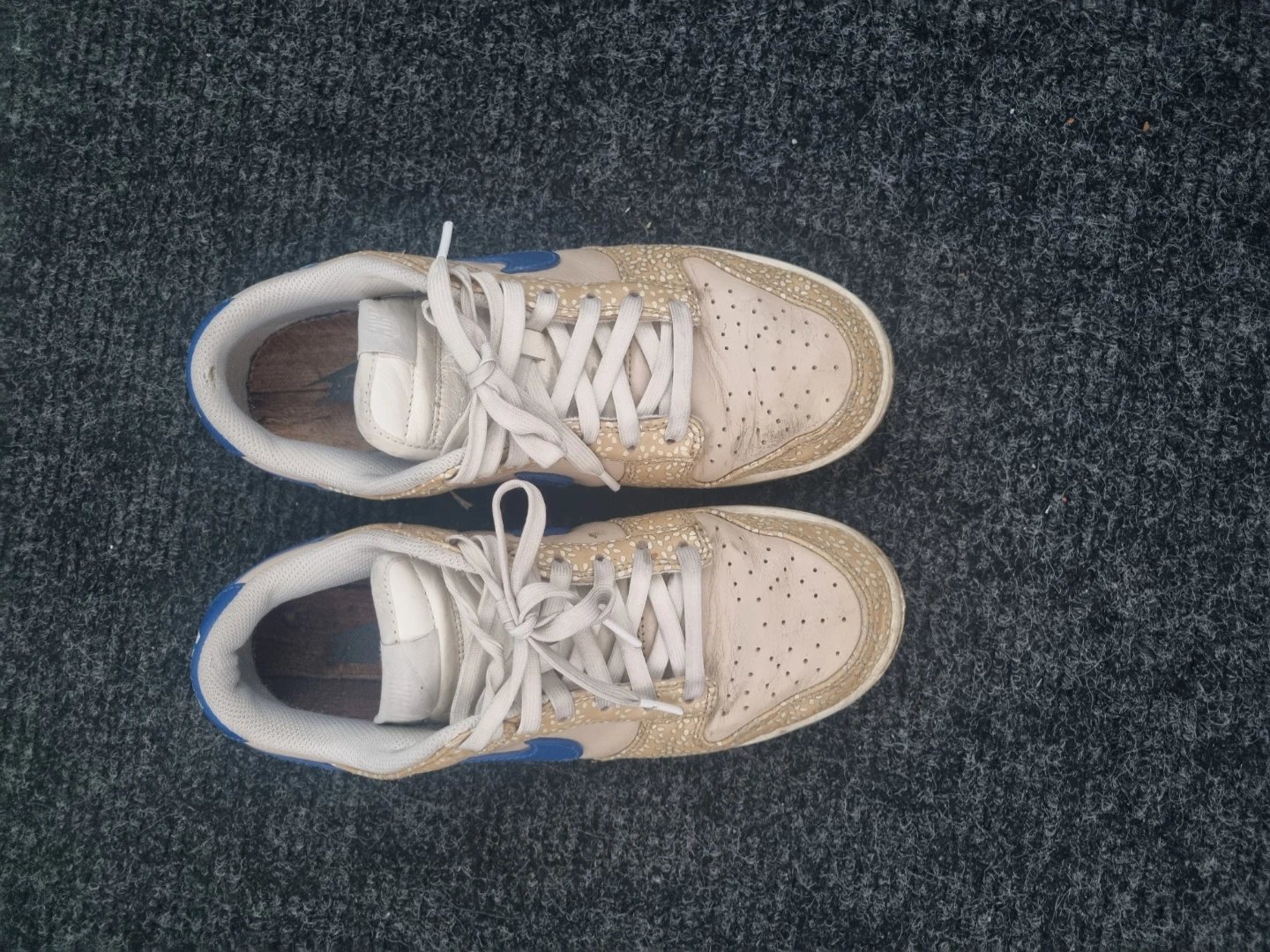 Nike SB Dunk - Bagel